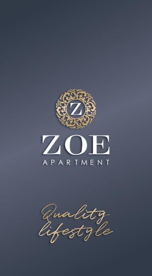 Zoe Apartment Vrsac Exterior photo